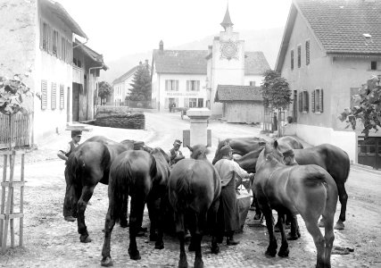 Pferde bei der Tränke am Dorfbrunnen - CH-BAR - 3238652