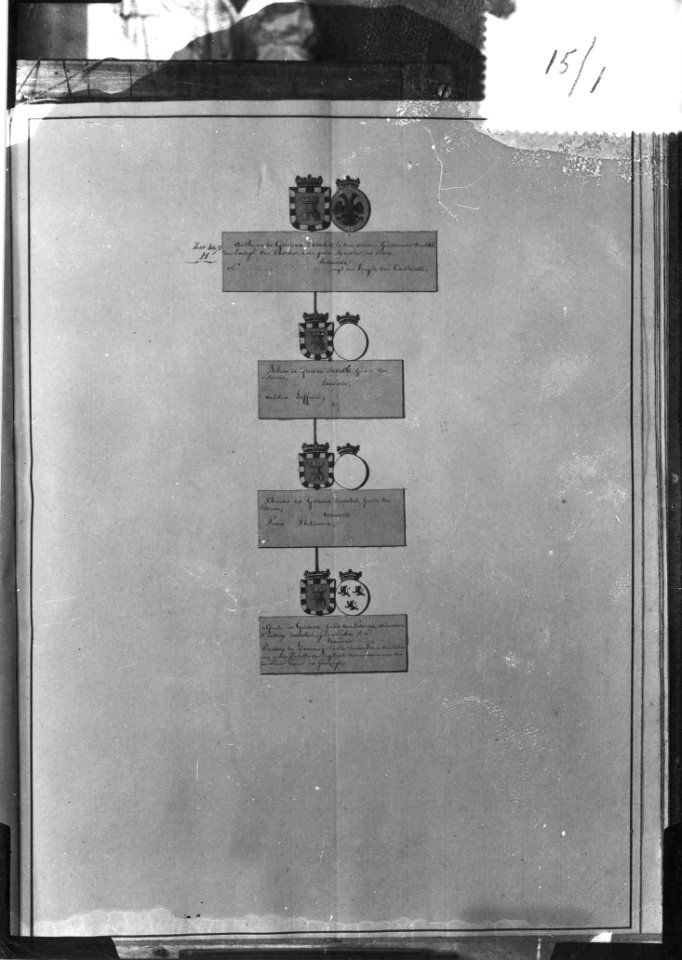 Photograph of a family tree of the House de Guevara Cuypershuis 0688c (01)