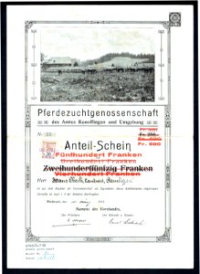 Pferdezuchtgenossenschaft des Amtes Konolfingen und Umgebung 1913