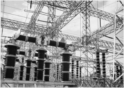 Photograph of Electrical Wires of the Boulder Dam Power Units, 1941 - NARA - 519838