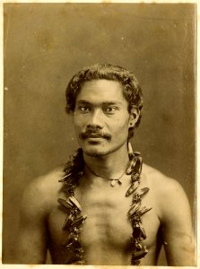 Photograph (black and white); cabinet card; portrait of a man with a moustache, an earring, a necklace with two small pendants, and a second necklace with the fruits of the pandanus tree; Oceania. Albumen print. Oc,B43.8, British Museum