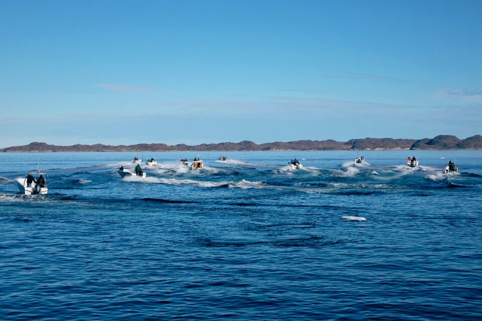 Sailing sport race