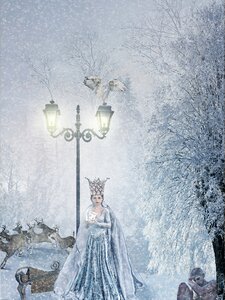 Forest snow ice crystal