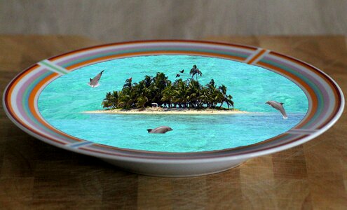 Soup dolphins meeresbewohner