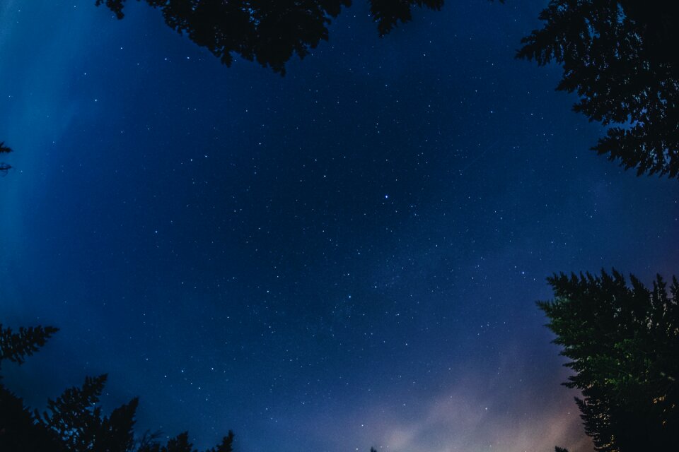 Nature night stars photo