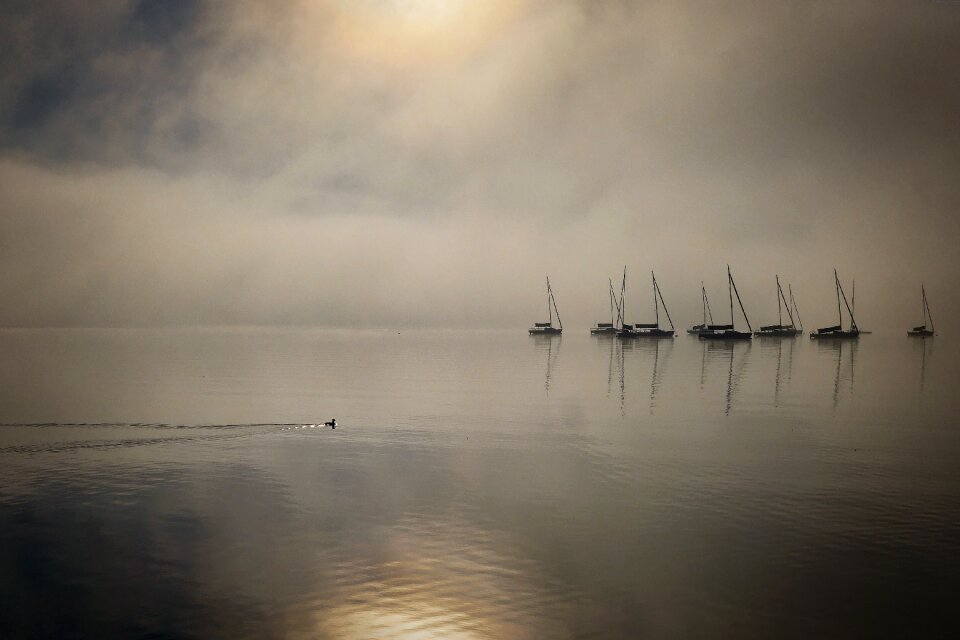 Dawn sunset fog