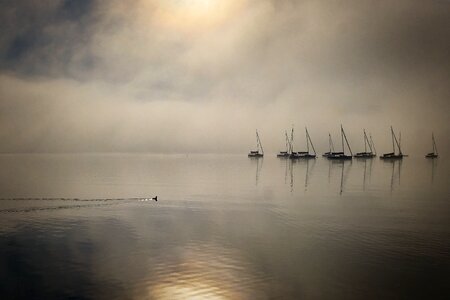 Dawn sunset fog