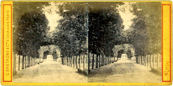 Photo stéréoscopique d'une belle allée d'arbres (C Bretagne, ca. 1870)