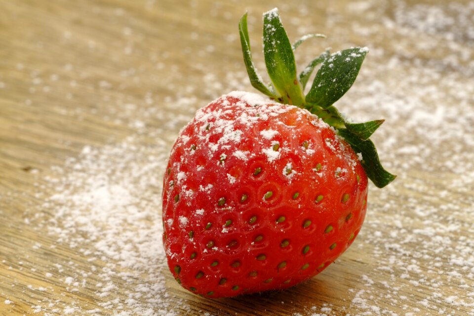 Fruit summer delicious