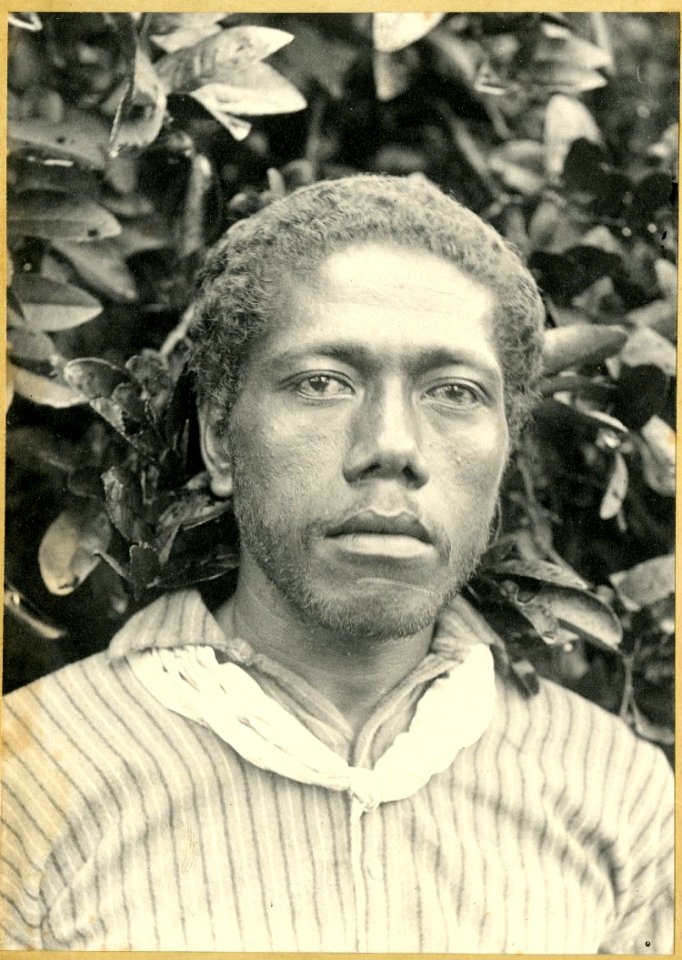 Photograph (black and white); portrait of a man, in front of a bush, wearing a striped shirt and a piece of cloth tied around his neck; Tonga. Platinum print. Oc,B54.23, British Museum