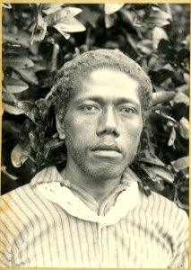 Photograph (black and white); portrait of a man, in front of a bush, wearing a striped shirt and a piece of cloth tied around his neck; Tonga. Platinum print. Oc,B54.23, British Museum