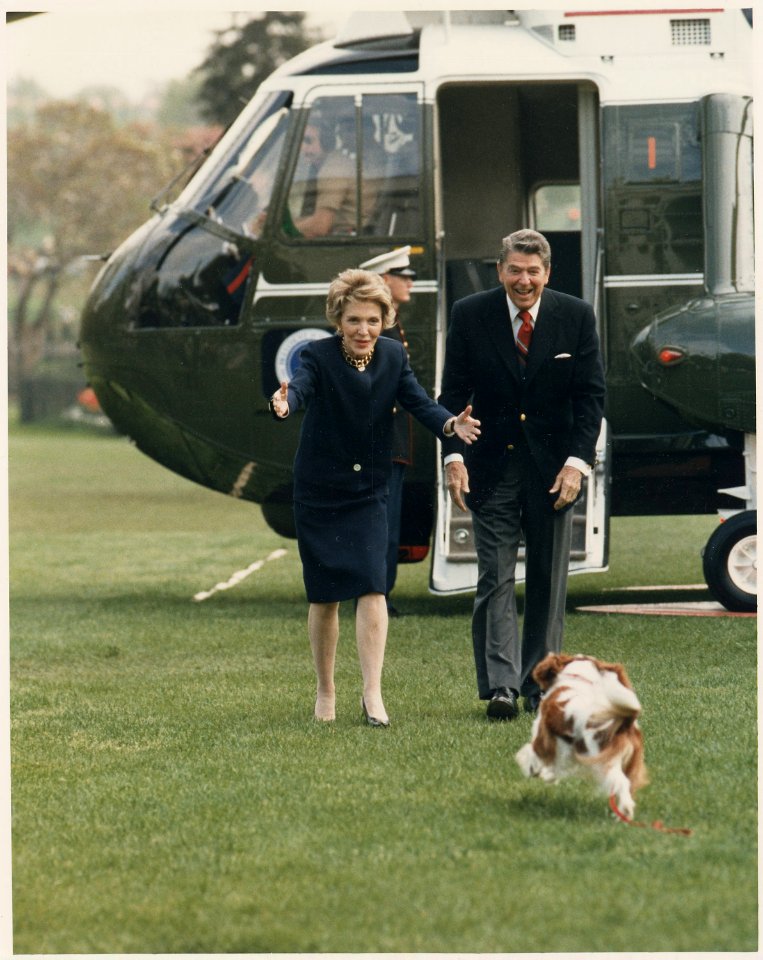 Photograph of The Reagan's being greeted by their dog Rex after arriving in the helicopter (Maine-1) - NARA - 198582