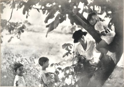 Photographies par Otto Wegener - Hôtel de vente Drouot - 2018 - 39
