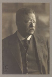 Photograph of Theodore Roosevelt looking to the right LCCN2013645479