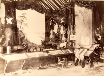 Photographs of the Finnish pavilion at the 1889 Paris Exposition - Interior photographed by Pierre Petit 2 photo
