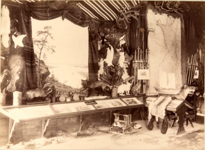 Photographs of the Finnish pavilion at the 1889 Paris Exposition - Interior photographed by Pierre Petit 2