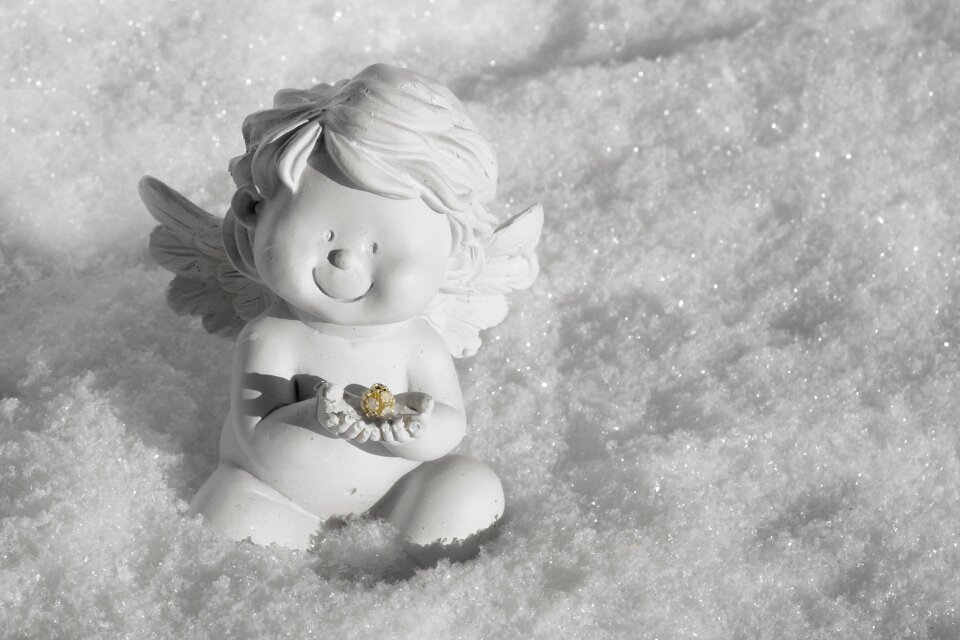 Christmas angel wing white