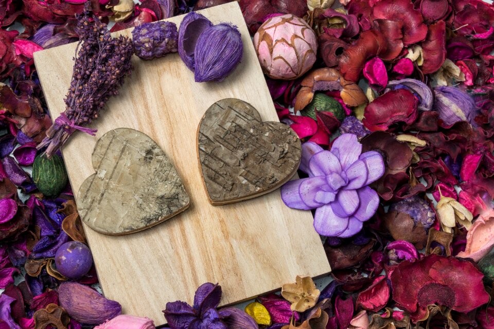 Lavender love nature