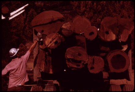 Pickering-driver-sprays-mark-on-salvaged-logs-to-indicate-private-ownership-september-1973 7153126385 o