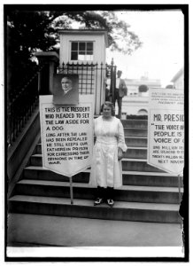 Pickets, political amnesty LCCN2016846582