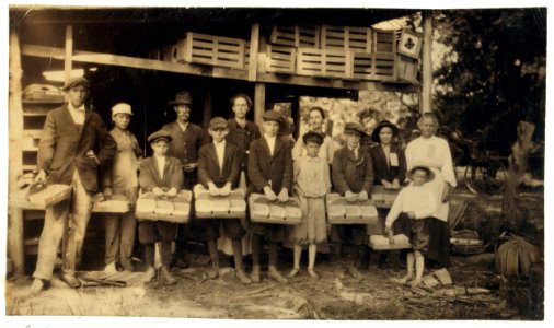 Picking strawberries on Clagett and Covington farm. They will have 500 pickers in the height of the season. Not many young workers yet. LOC nclc.00437