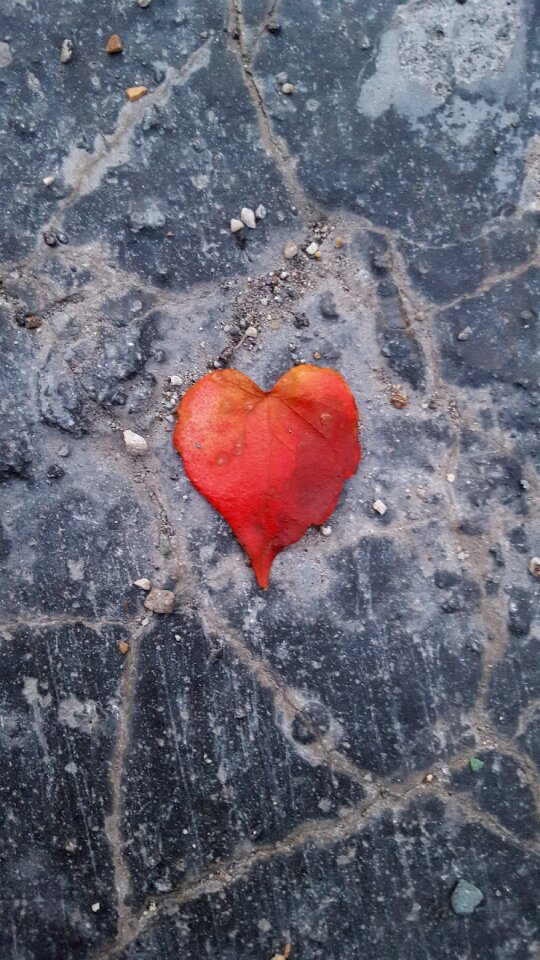 Autumn leaves romantic