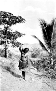 Picturesque New Guinea Plate I - Motu Water Carrier, Port Moresby