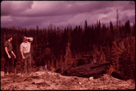Pickering-loggers-in-burn-area-september-1973 7153139009 o