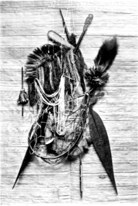 Picturesque New Guinea Plate XLIV - Paddles, Native Ornaments and Implements