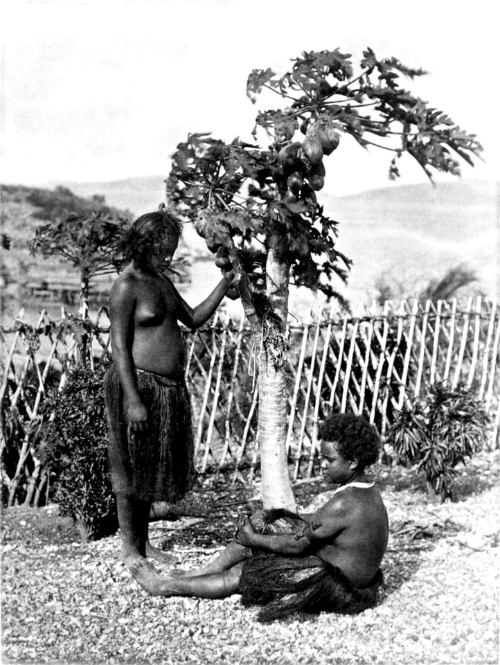 Picturesque New Guinea Plate XV - Motu Girls, Port Moresby