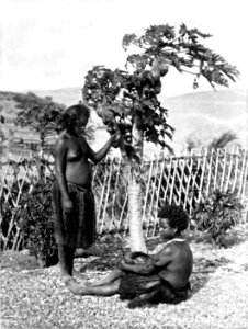Picturesque New Guinea Plate XV - Motu Girls, Port Moresby