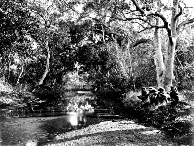 Picturesque New Guinea Plate XXVII - The Kalo Creek, Kapa, Kapa District
