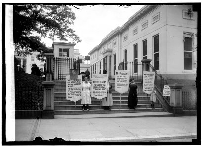 Pickets, political amnesty LCCN2016846581