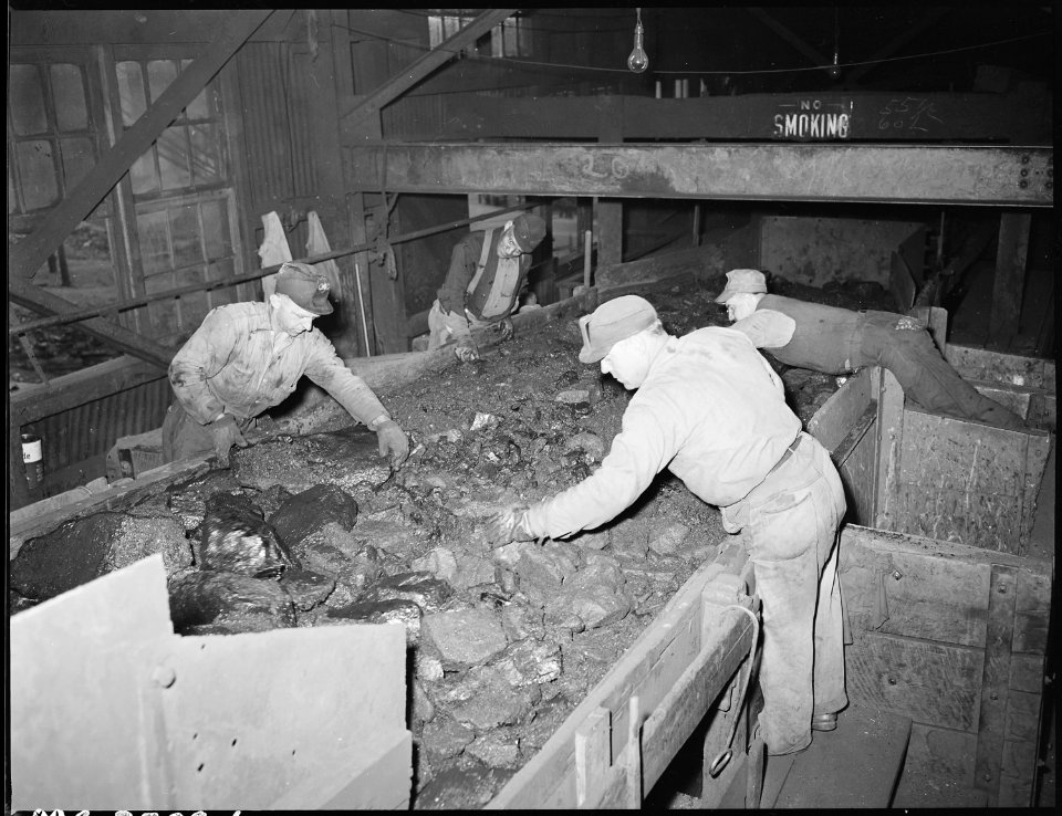 Picking slate from coal being conveyed to breaker plant. The St. Clair Coal Company, St. Clair Colliery, St. Clair... - NARA - 541526