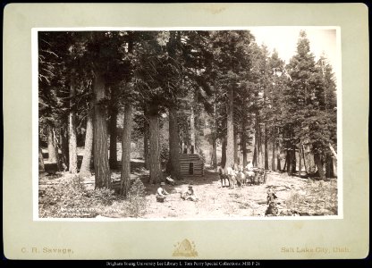 Picnic Grove, Mt. Tallac Park, Lake Tahoe Cal.