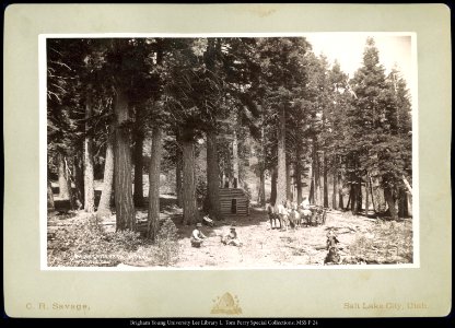 Picnic Grove, Mt. Tallac Park, Lake Tahoe Cal. photo