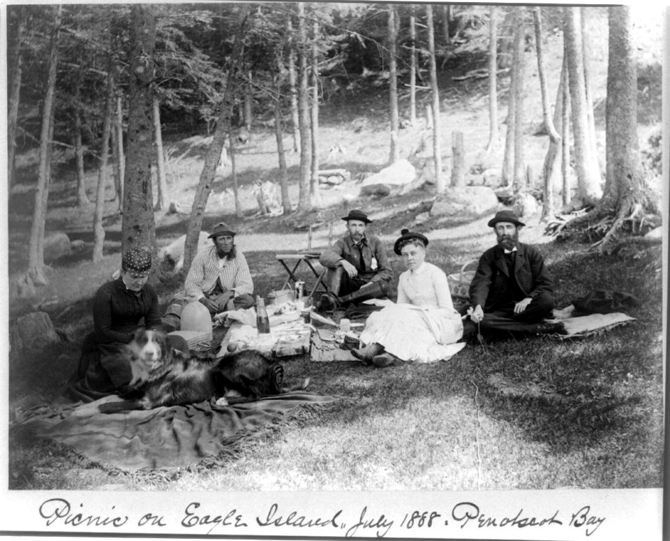 Picnic on Eagle Island, Penobscot Bay LCCN2002711513