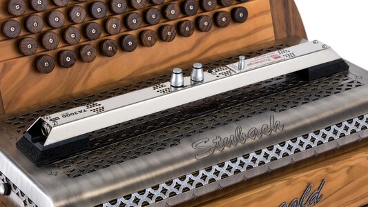 Musical instrument keyboard instrument music