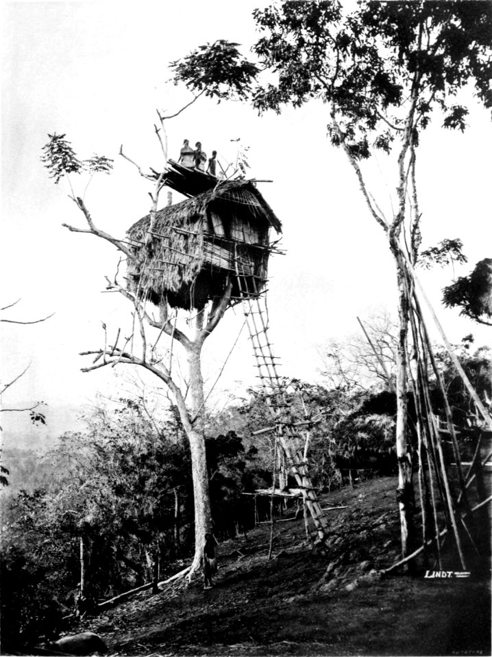 Picturesque New Guinea Plate XIV - Tree House, Kolari Village