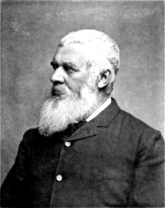 Picturesque New Guinea Plate XLVIII (a) - The Hon John Douglas