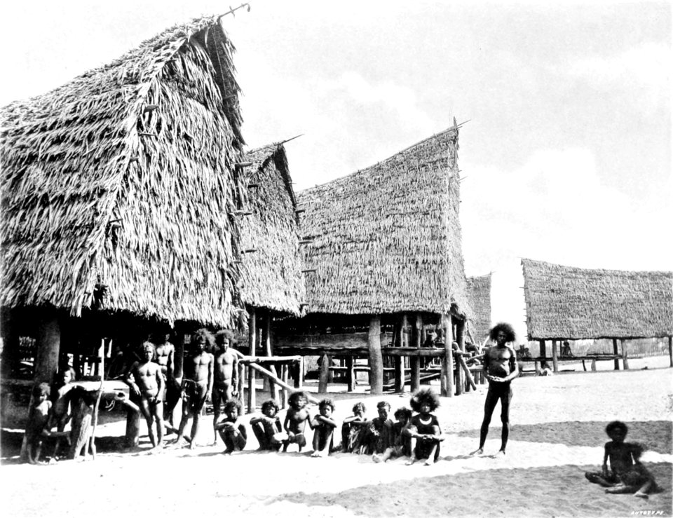 Picturesque New Guinea Plate XXXIV - Village Scene at Moapa, Aroma District
