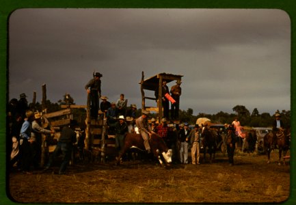 Pie Town rodeo photo