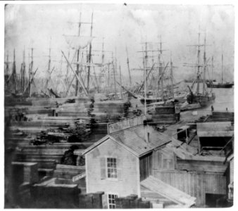 Pier No. 11. The Mendocino Lumber Yard, San Francisco LCCN2002719803