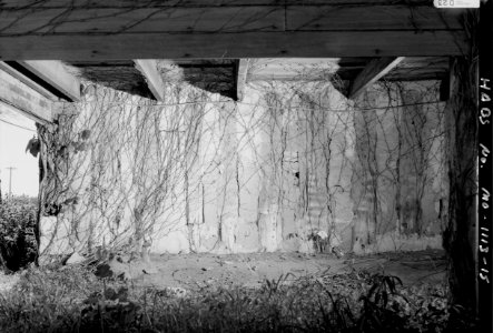 Photograph of the Vertical Logs of the Amoureaux House in Ste Genevieve MO