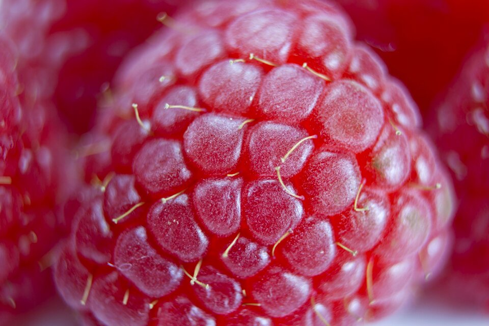Berry fresh healthy