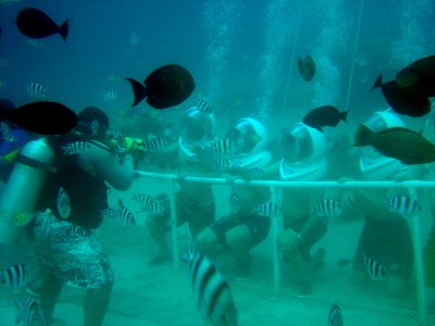 Photographing tourists at a Guam reef attraction (reef317787470) photo