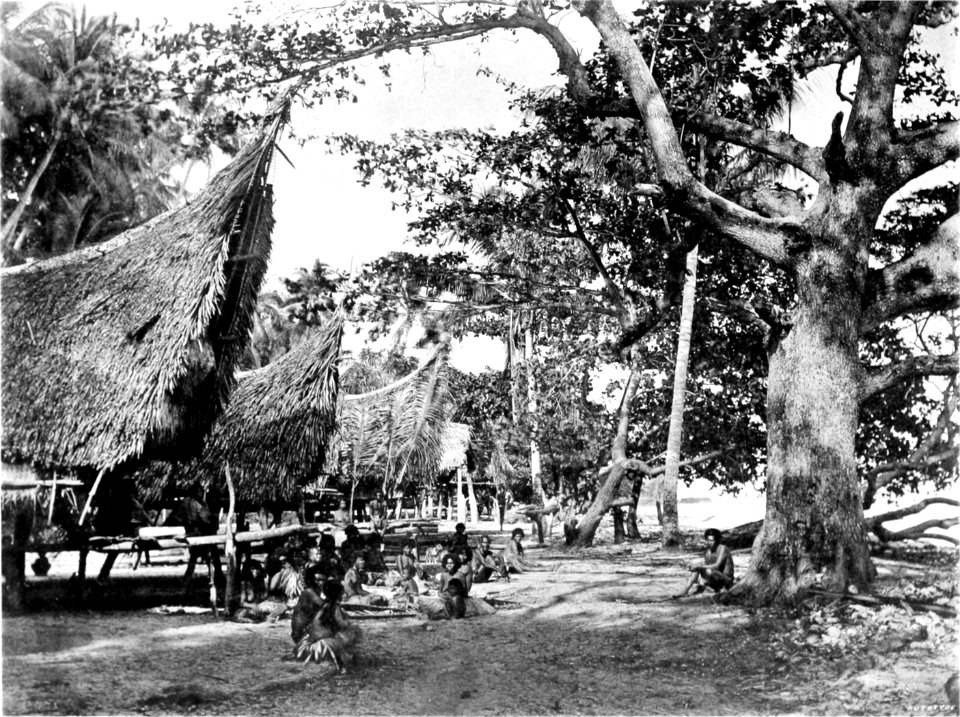 Picturesque New Guinea Plate XLV - Village at Stade Island