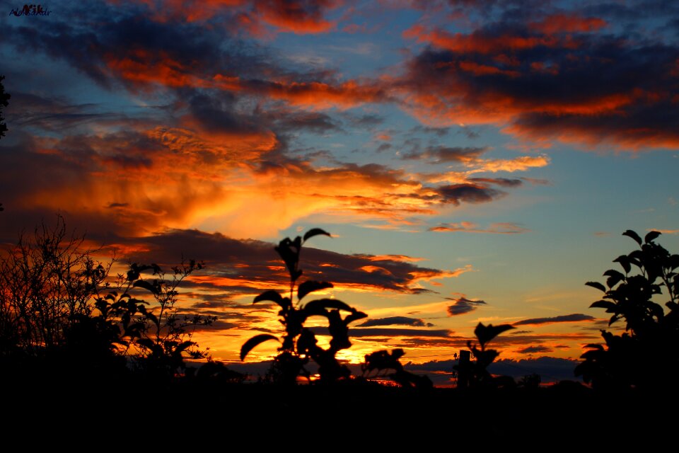 Sunset twilight evening