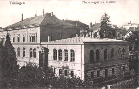 Physiologisches Institut (AK 18333 H Sting)