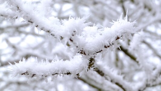 Frost cold winter magic